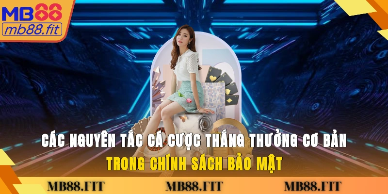 Các nguyên tắc cá cược thắng thưởng cơ bản trong chính sách bảo mật