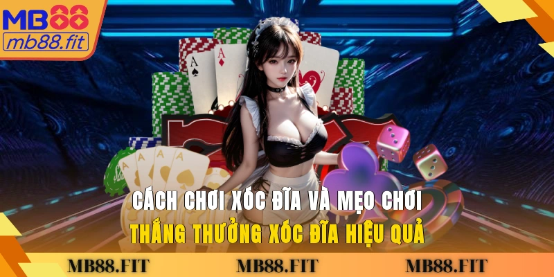 Cách chơi xóc đĩa và mẹo chơi thắng thưởng xóc đĩa hiệu quả