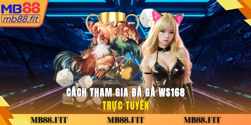 Cách tham gia đá gà WS168 trực tuyến