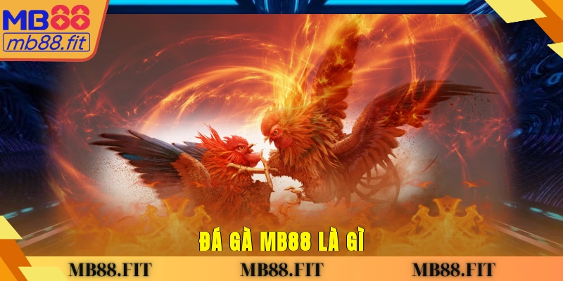Đá gà MB88 là gì?