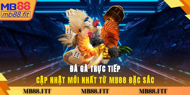 Đá gà trực tiếp