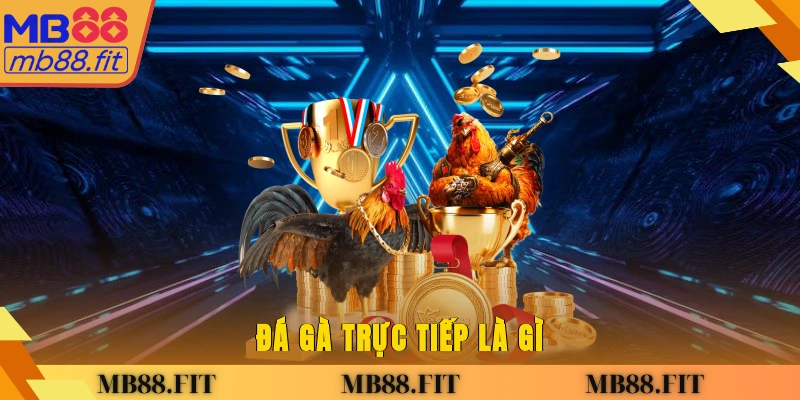 Đá Gà Trực Tiếp Là Gì?