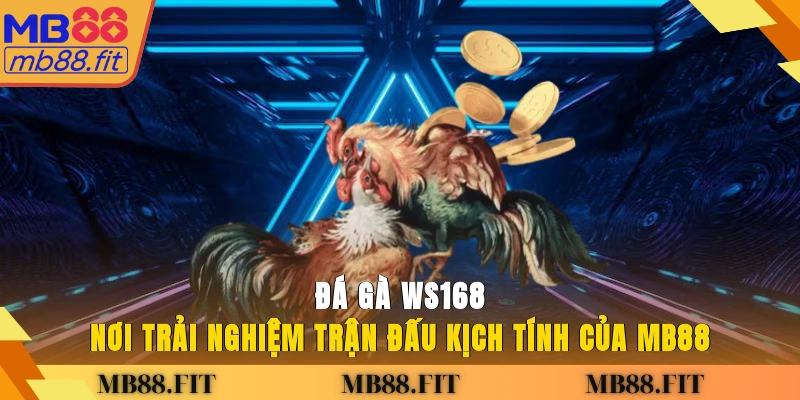 đá gà WS168