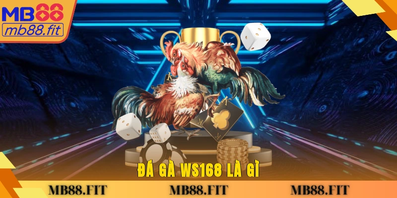 Đá gà WS168 là gì?