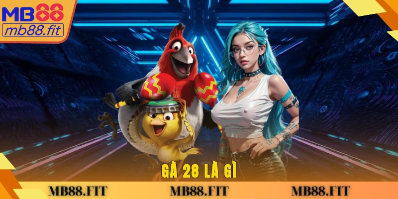 Gà 28 là gì?
