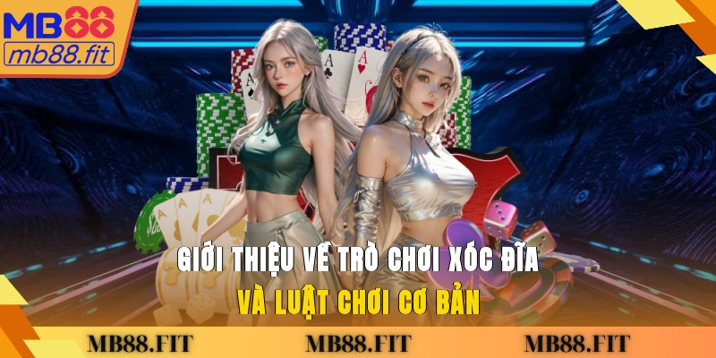 Giới thiệu về trò chơi xóc đĩa và luật chơi cơ bản