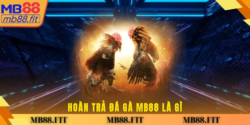 Hoàn trả đá gà MB88 là gì?