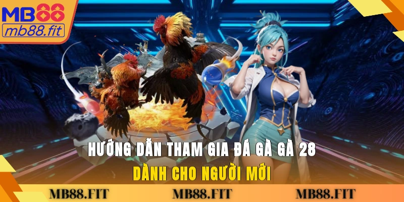 Hướng dẫn tham gia đá gà Gà 28 dành cho người mới