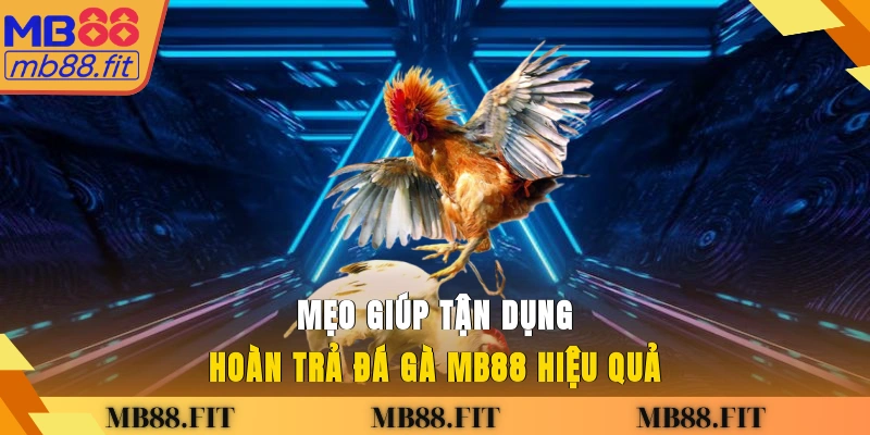 Mẹo giúp tận dụng hoàn trả đá gà MB88 hiệu quả