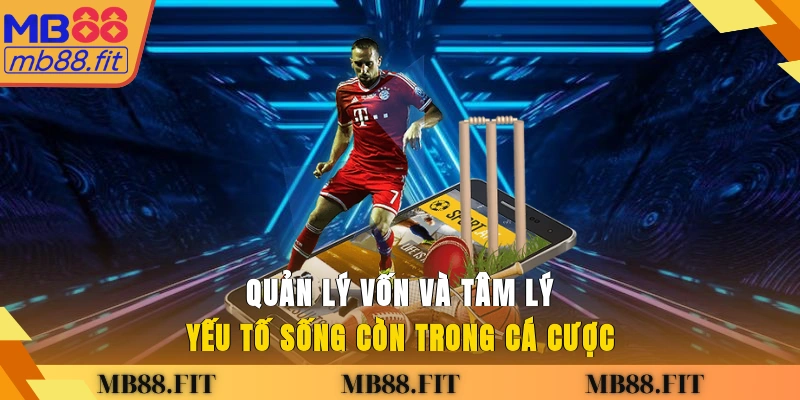 Quản lý vốn và tâm lý - Yếu tố sống còn trong cá cược
