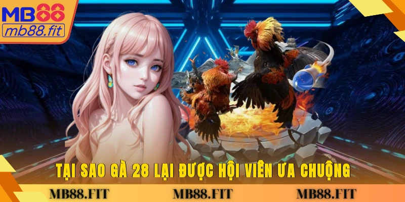 Tại sao gà 28 lại được hội viên ưa chuộng?