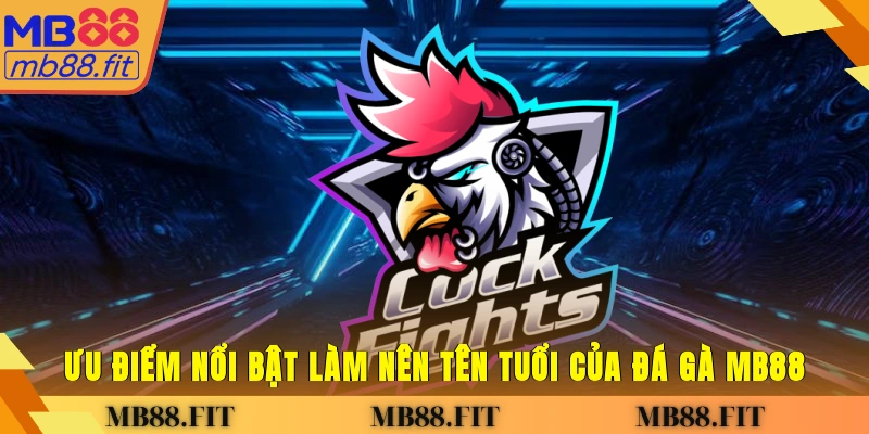 Ưu điểm nổi bật làm nên tên tuổi của đá gà MB88